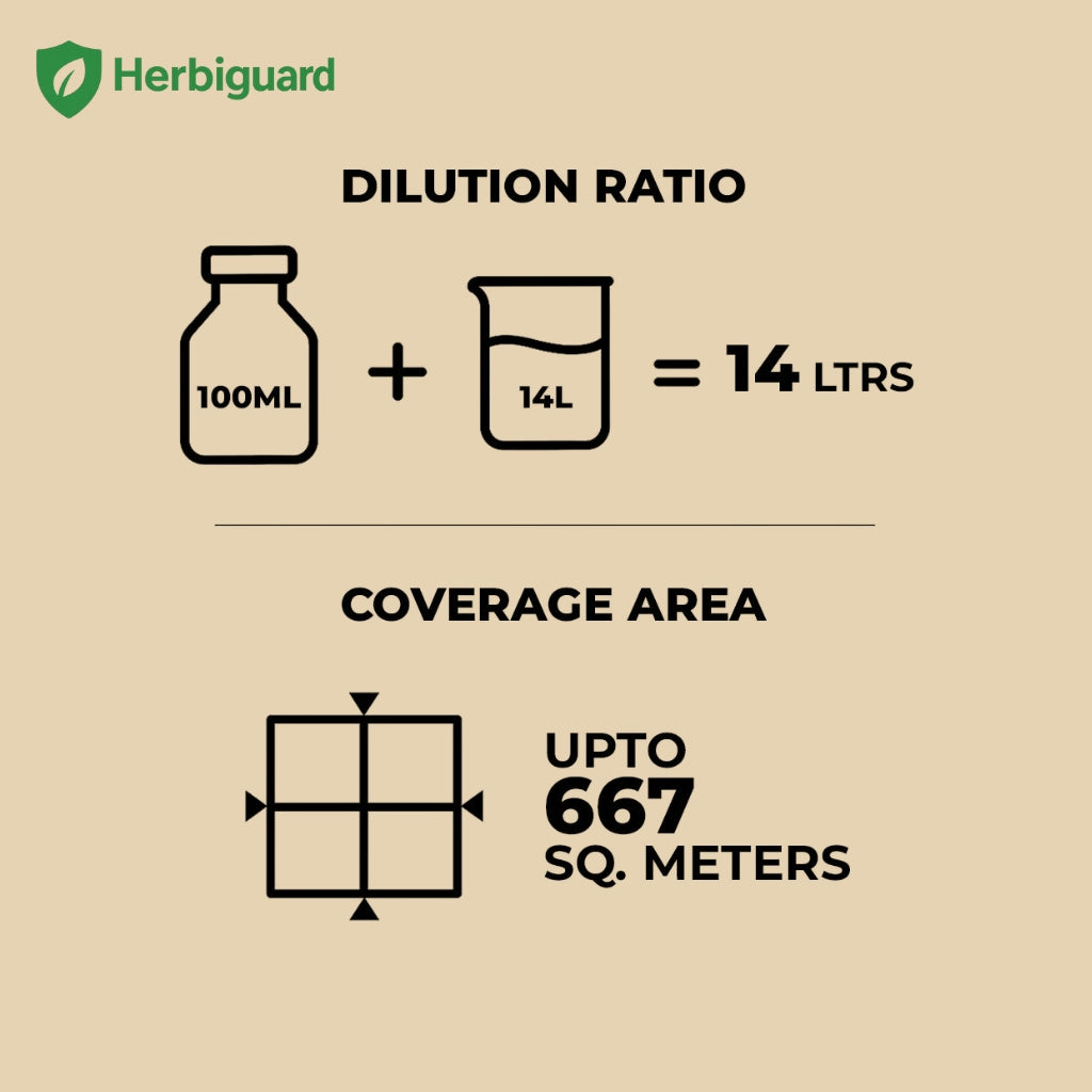 Glyphosate Herbicide Weed Killer with High-Concentration