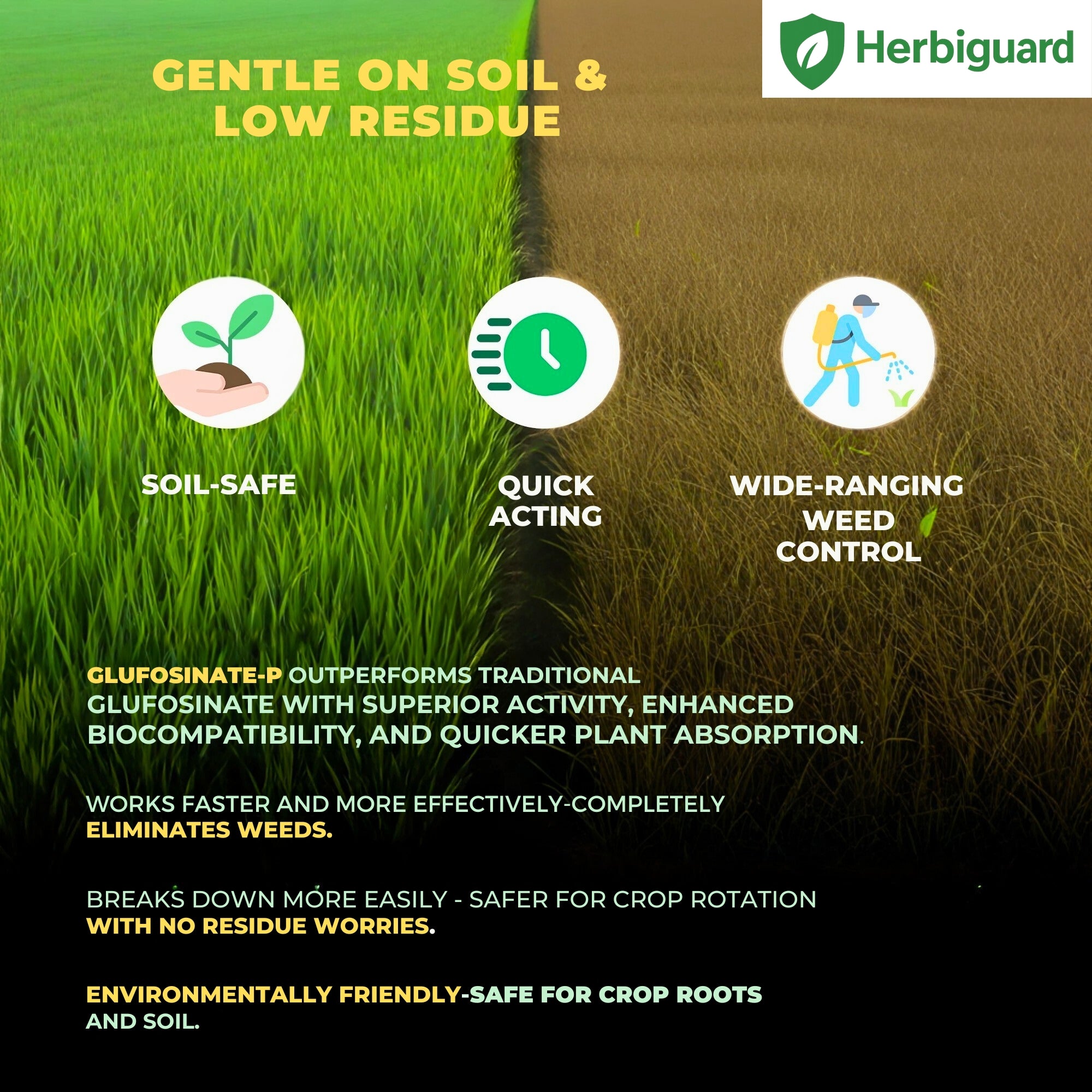 Glyphosate Herbicide Weed Killer with High-Concentration