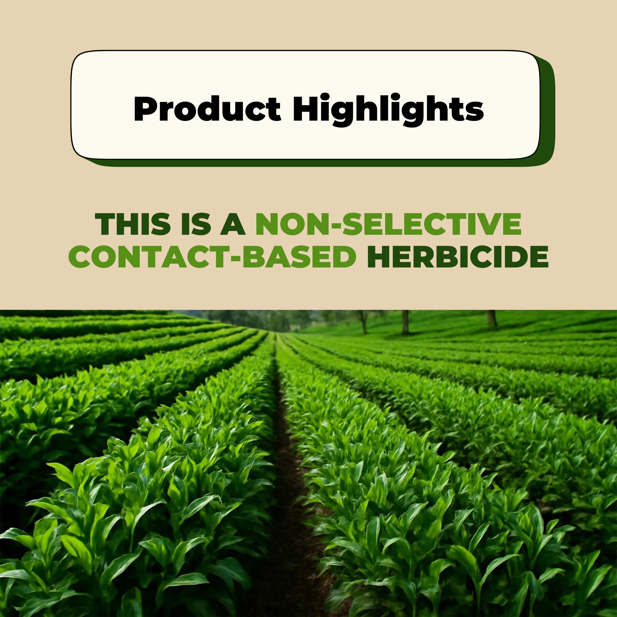 Glyphosate Herbicide Weed Killer with High-Concentration
