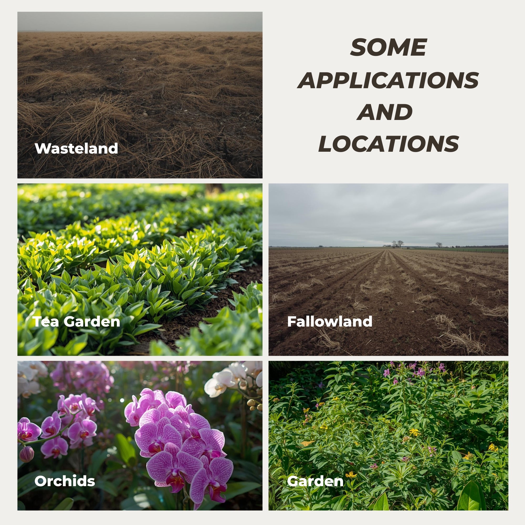 Glyphosate Herbicide Weed Killer with High-Concentration